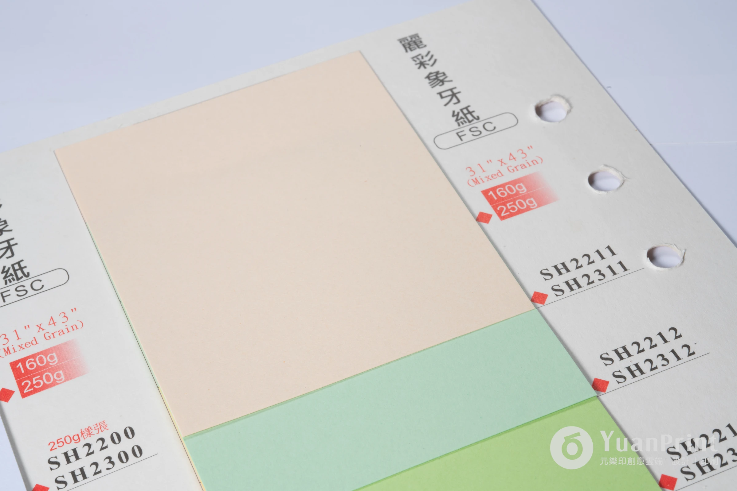 麗彩象牙紙B