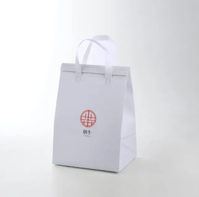 二色印刷白底公版尺寸|保冷袋保溫袋|客製印刷製作 - 細節圖 3
