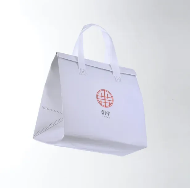 二色印刷白底公版尺寸|保冷袋保溫袋|客製印刷製作 - 細節圖 2